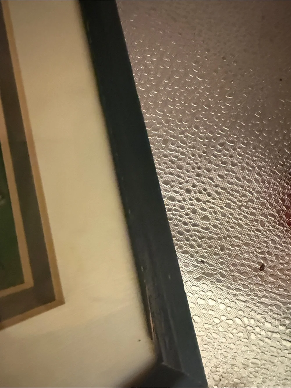 “Large Watermelon Seed Packet” framed picture of a watermelon seed packet.